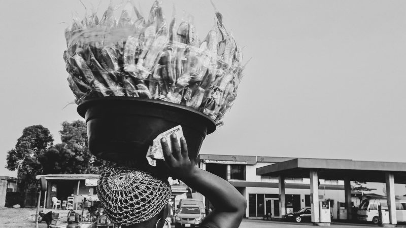 pexels-angornimi-246991316-12402824