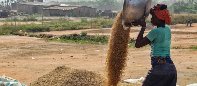 pexels-fatima-yusuf-323522203-20302802