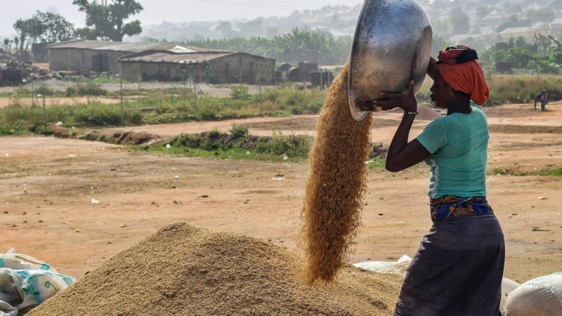 pexels-fatima-yusuf-323522203-20302802